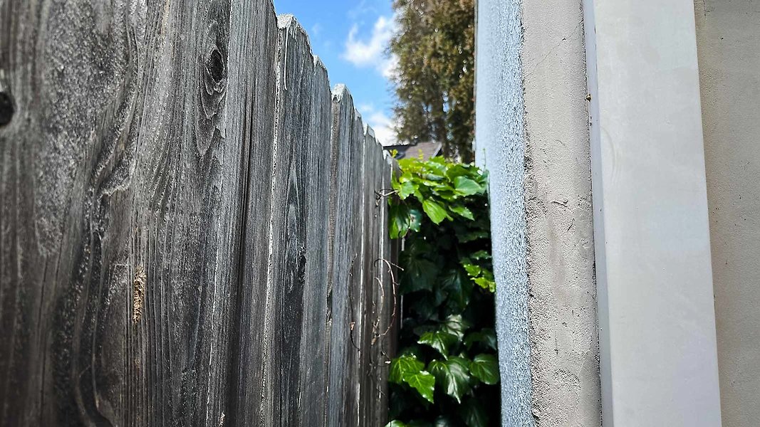 Back Fence-7 - N