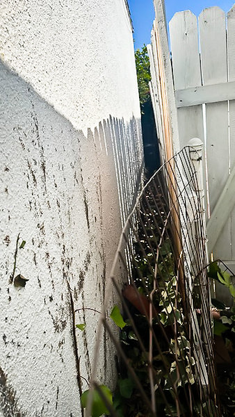 Back Fence-10 - Current fence to come down