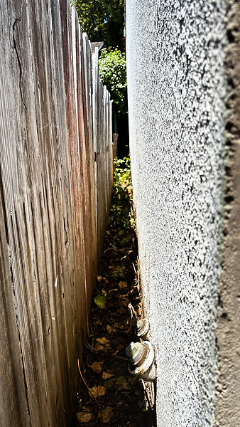 Back Fence-13