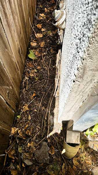 Back Fence-14