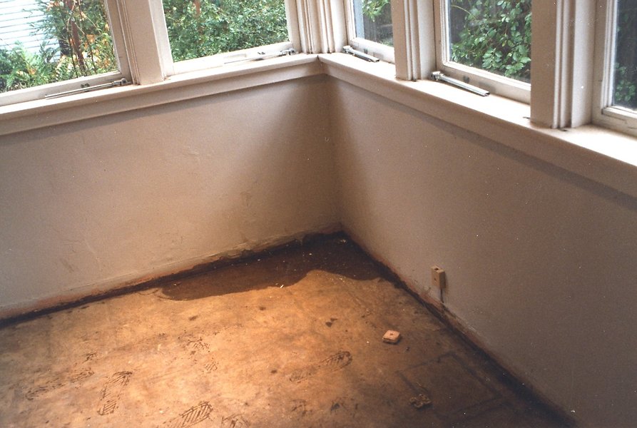 z Water Damage 93