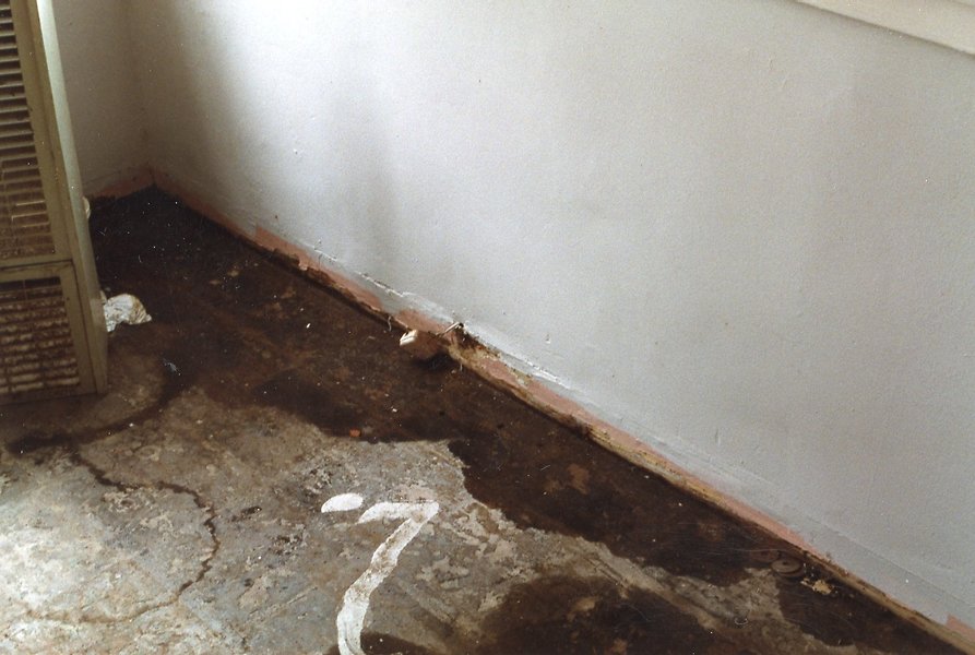 z Water Damage 92