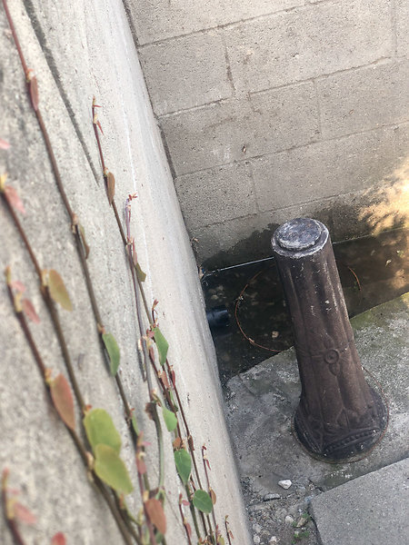 June 2019-7
