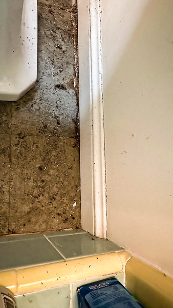 Water Damage-3 - Water damage at fdn in bath