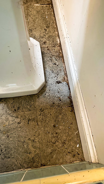 Water Damage-2 - Water damage at fdn in bath