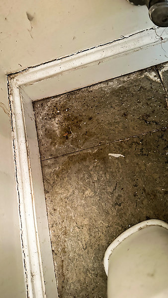 Water Damage at Foundation in My Bathroom