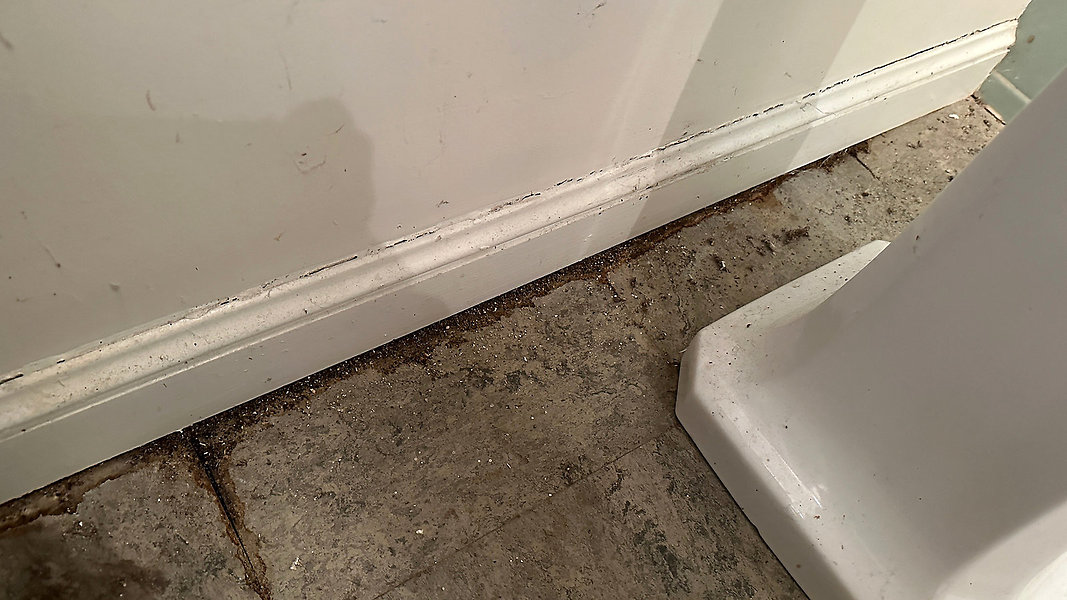 Water Damage Lot 20-3