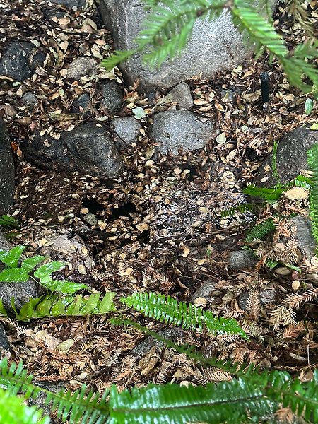 August 2023 Drainage