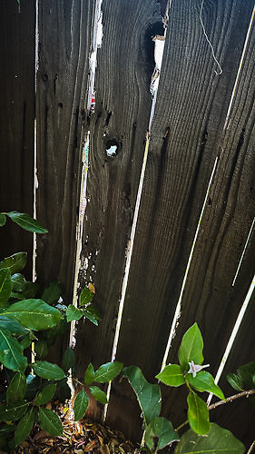 Fence Condition 202309-3