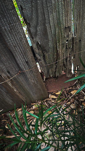Fence Condition 202309-4