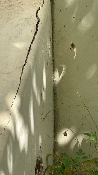 Hollow balustrade rear steps-1