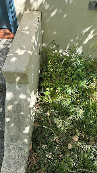 Hollow balustrade rear steps-2