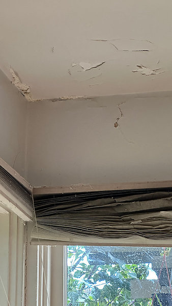 Ceiling Window-1 x